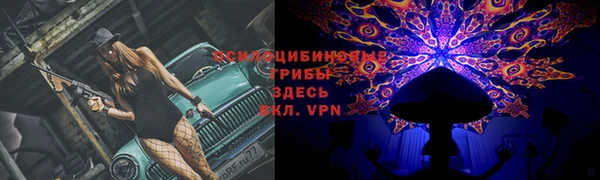 спиды Горнозаводск