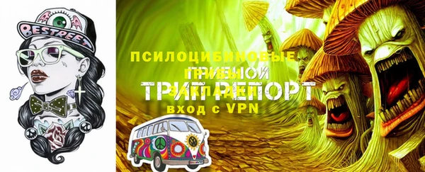 стафф Горняк