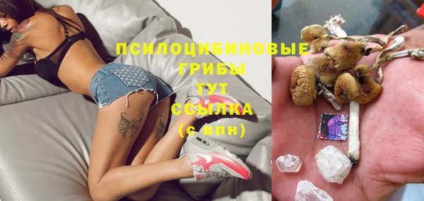 спиды Горнозаводск
