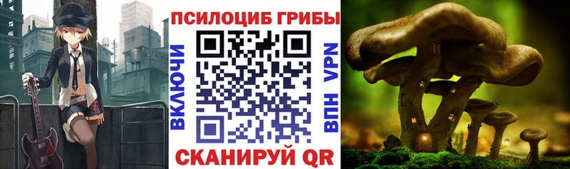 Галлюциногенные грибы мухоморы  Купить закладки  Павловск 